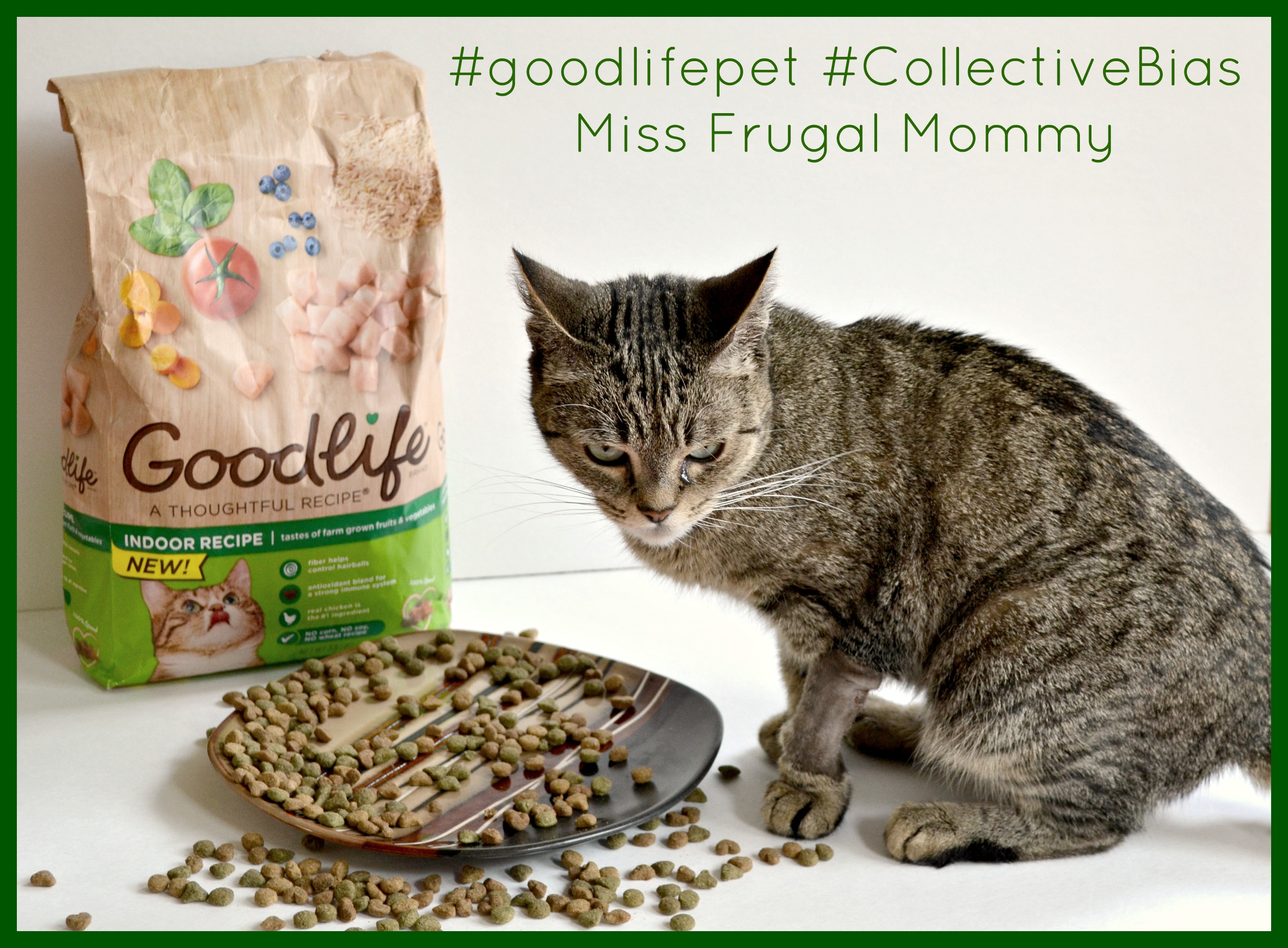 GOODLIFE™ Dry Cat Food #goodlifepet #CollectiveBias #Shop