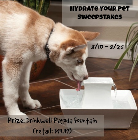Hydrate Your Pet Giveaway