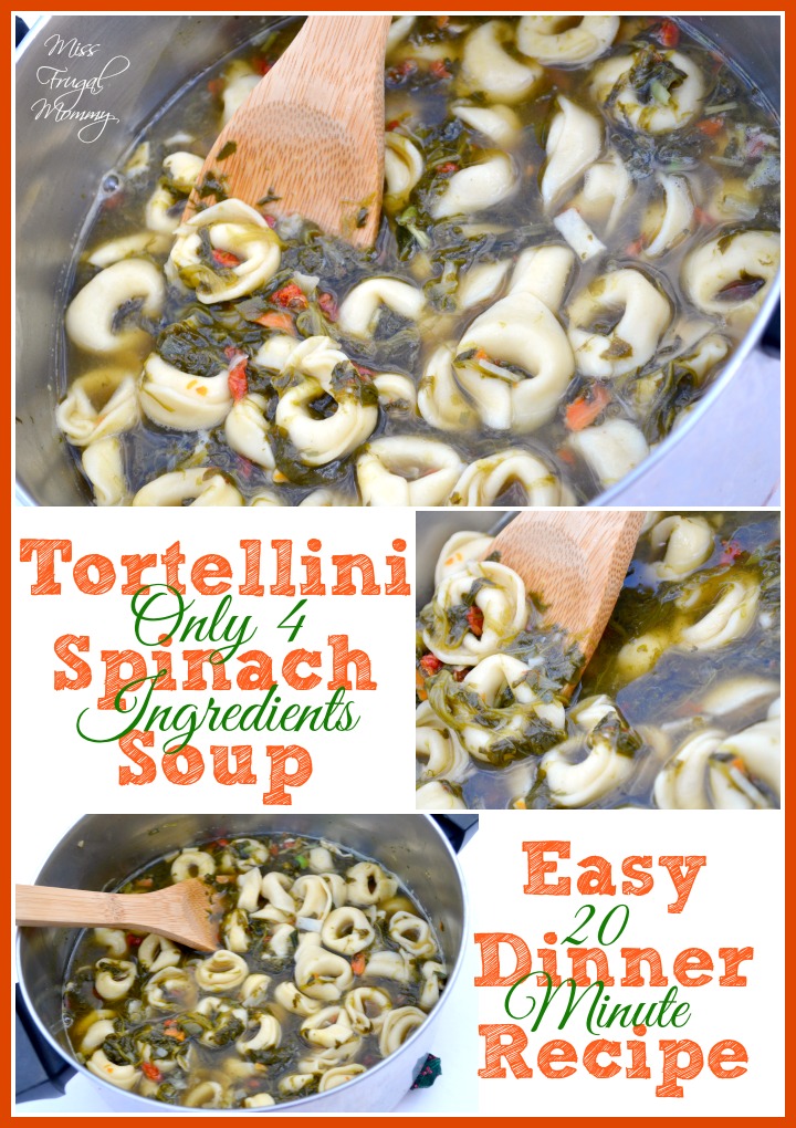 Tortellini Tortellini Spinach Soup: Easy 20 Minute Dinner Recipe