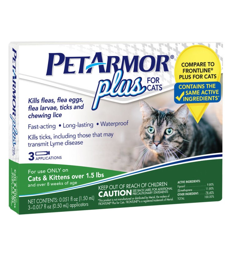 Keeping Your Cat Healthy With Flea & Tick Prevention