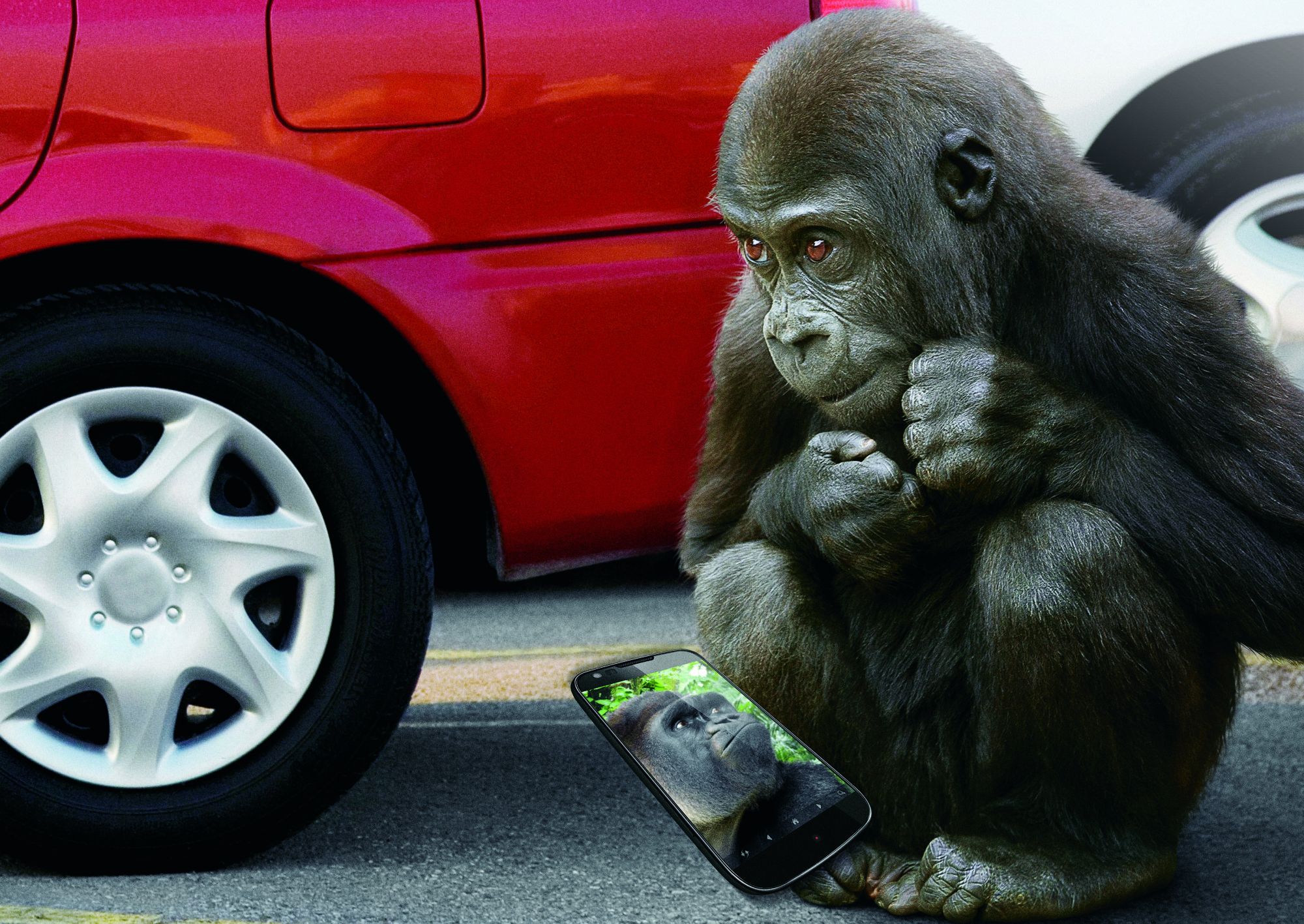Keep Your Devices Safe With Gorilla Glass