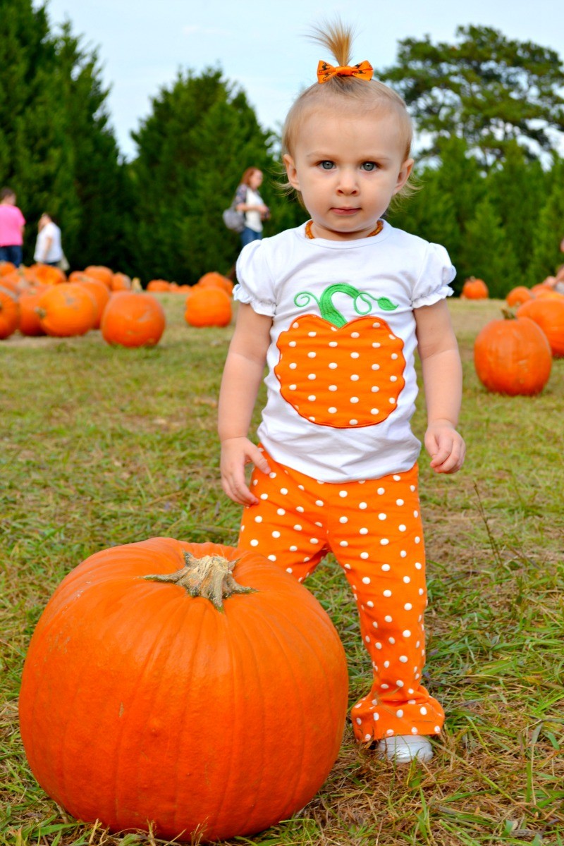 Supporting Our Local Farms & Adventures In The Pumpkin Patch
