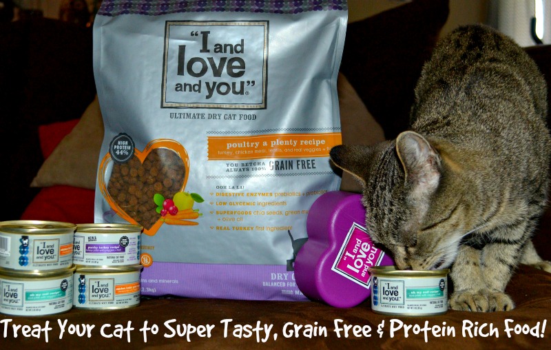 Treat Your Cat to Super Tasty, Grain Free & Protein Rich Food! Miss