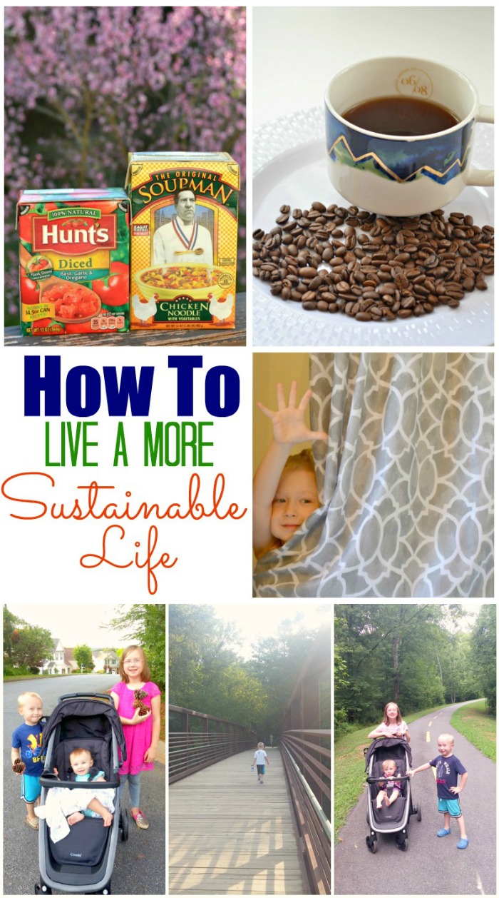 How To Live A More Sustainable Life