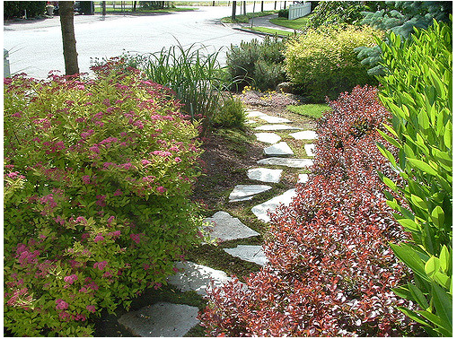 Increase Your Home’s Curb Appeal, Even When You're On A Budget!