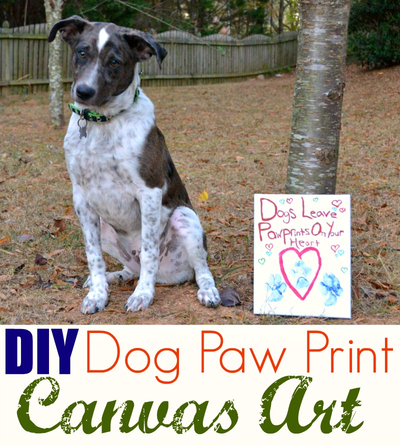 DIY Dog Paw Print Canvas Art Miss Frugal Mommy