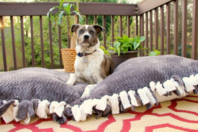 No Sew Dog Bed Miss Frugal Mommy