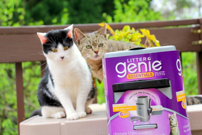 Keep Your Home Clean & Your Cat Happy With Litter Genie®