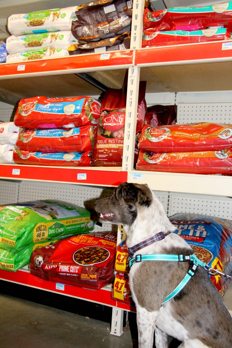 tractor supply pet supplies