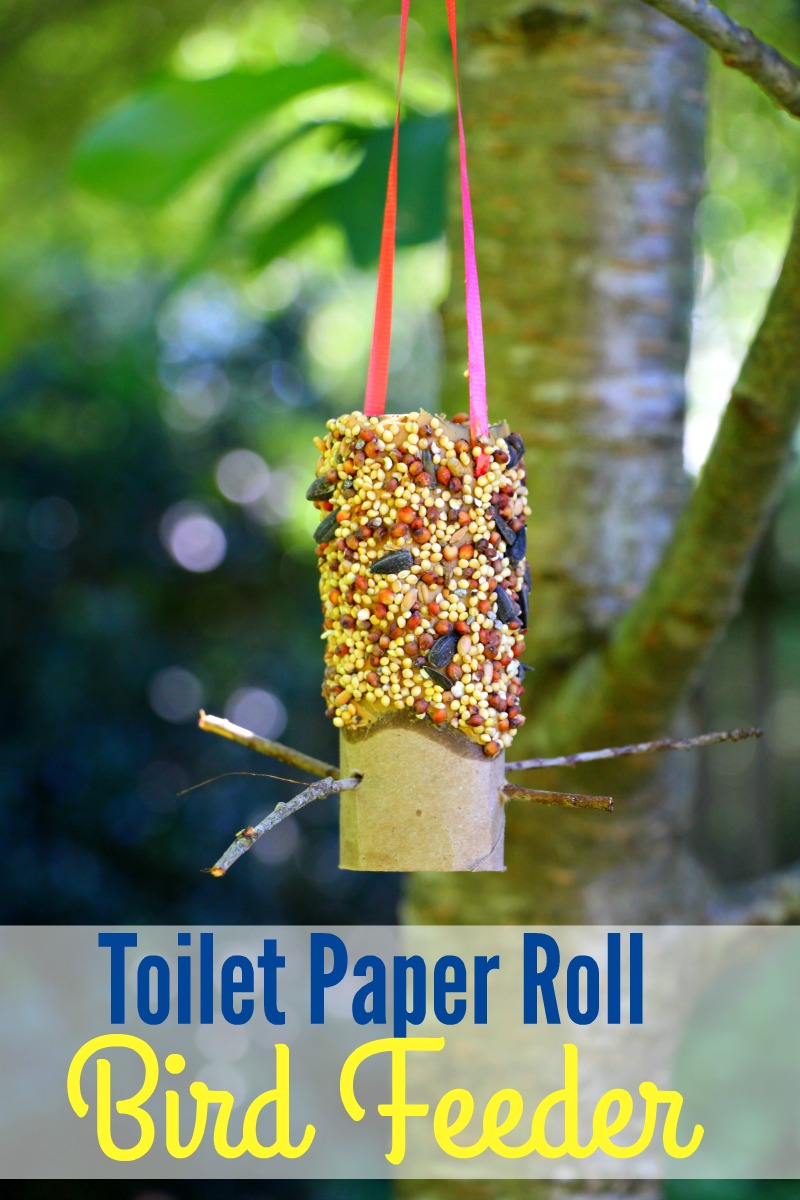 DIY Toilet Paper Roll Bird Feeder