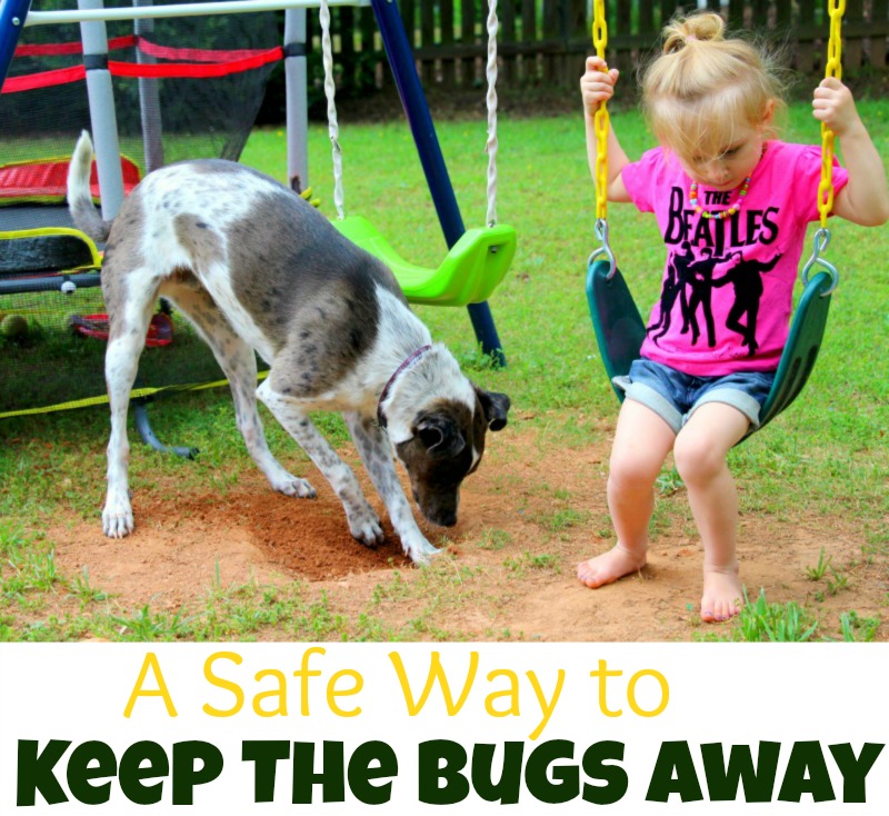 A Safe Way to Keep The Bugs Away 