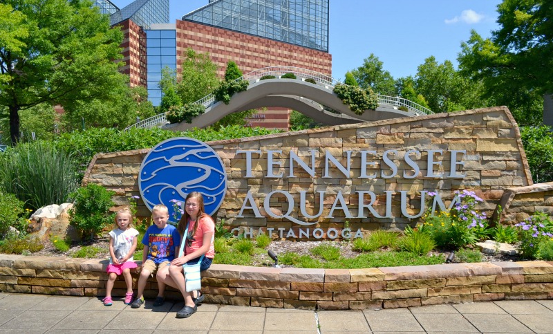 Our Trip to the Tennessee Aquarium