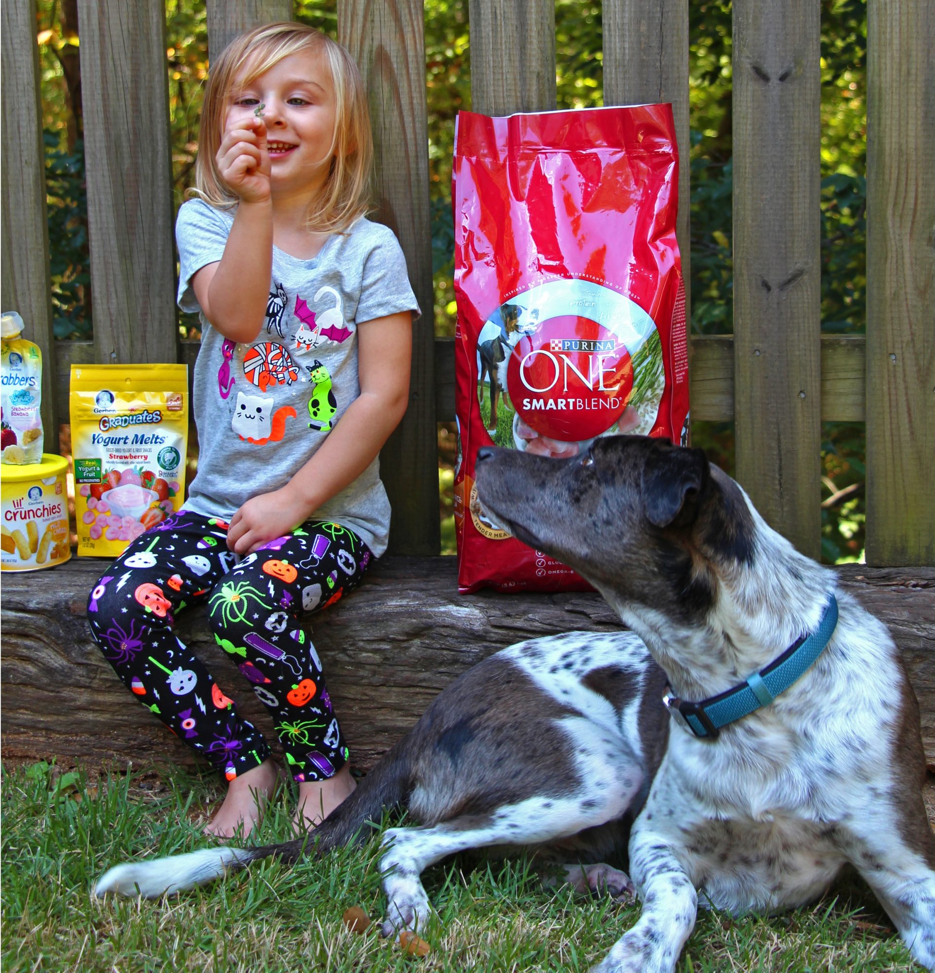 Tips For Taking Photos With Your Kid & Dog