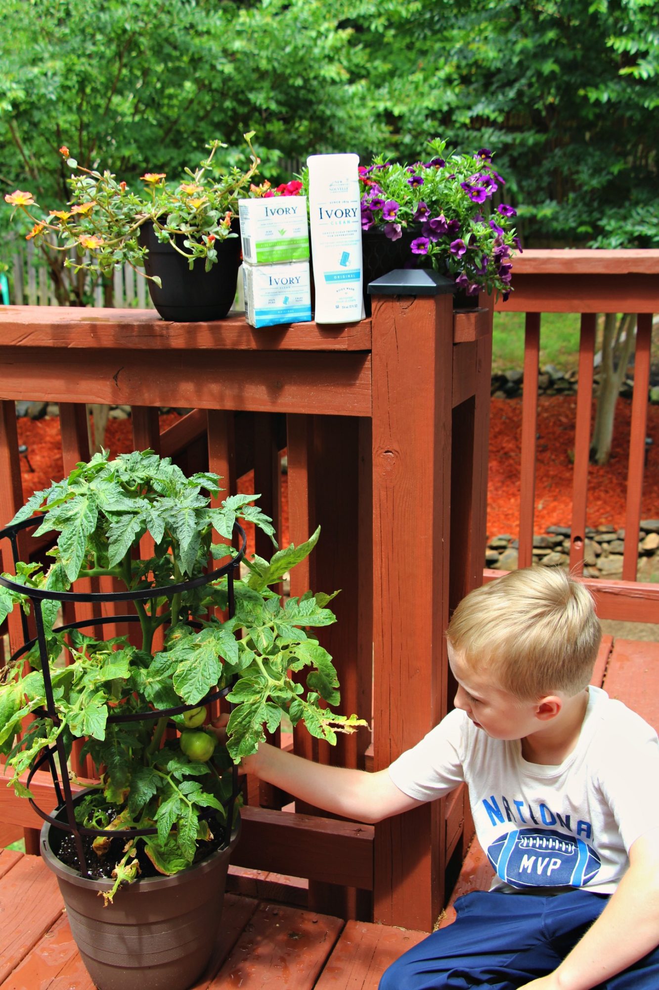 The Benefits of Gardening With Your Kids & How To Keep It Simple With Ivory Soap