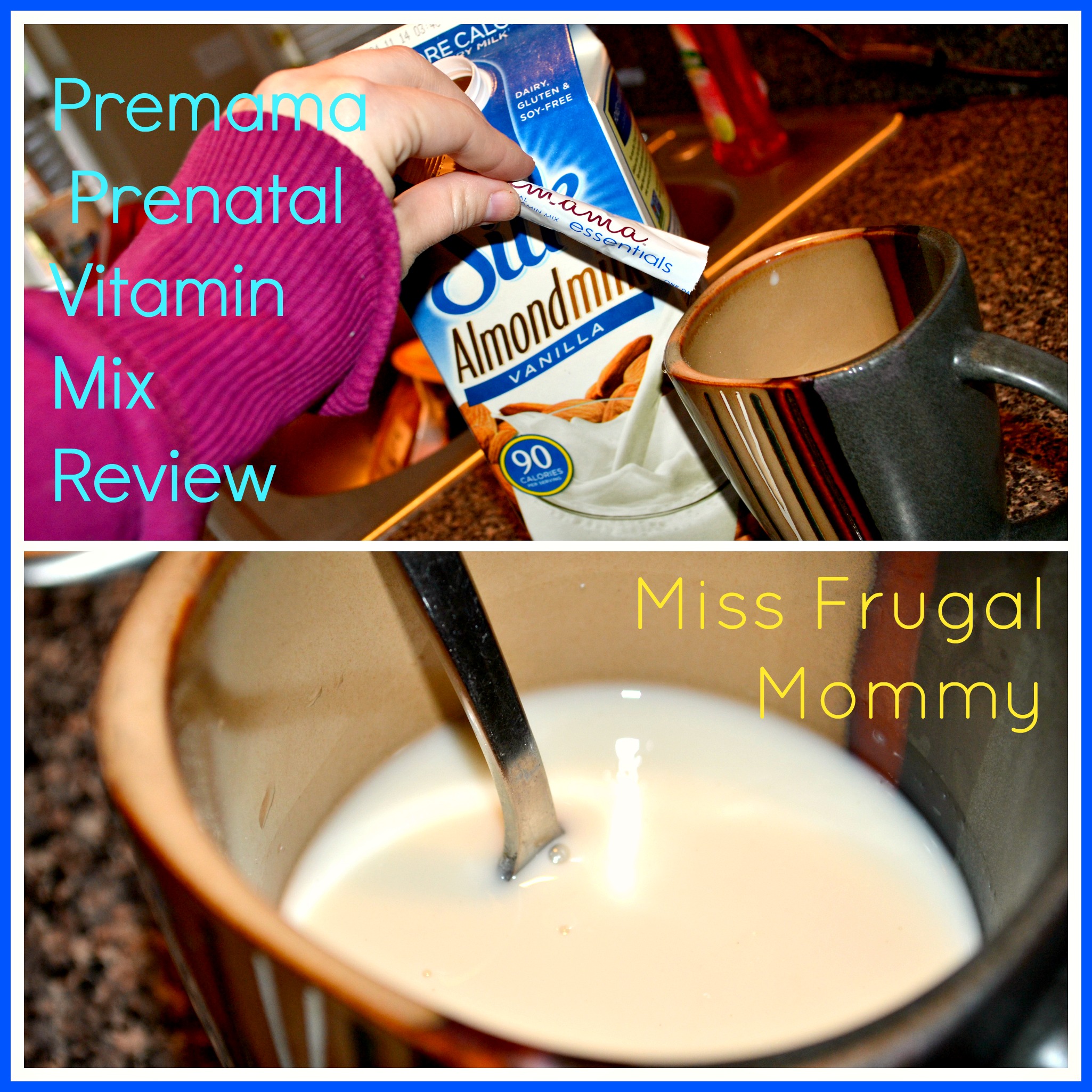 Premama Prenatal Vitamin Mix Review