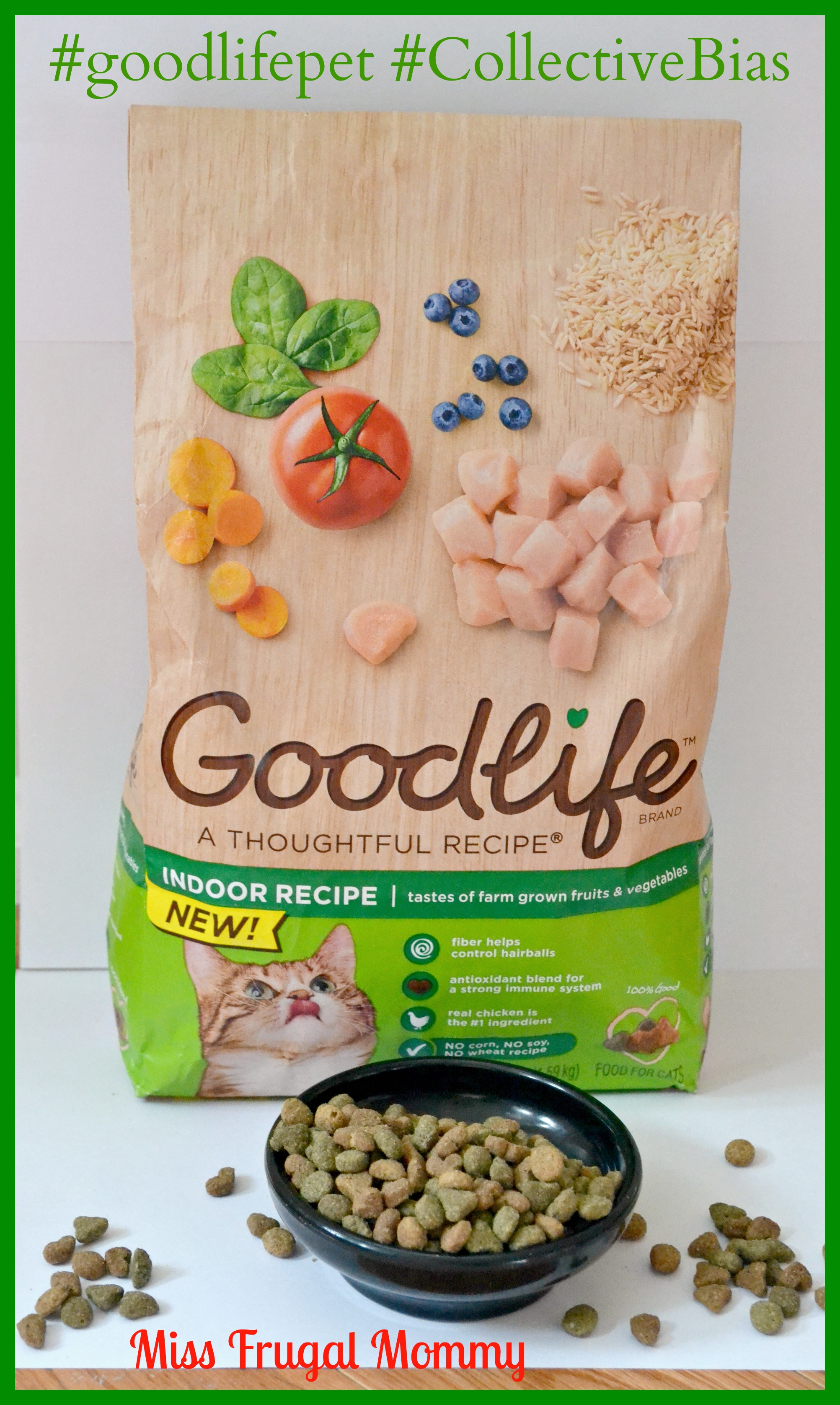 Goodlife Dry Cat Food #goodlifepet #CollectiveBias #Shop