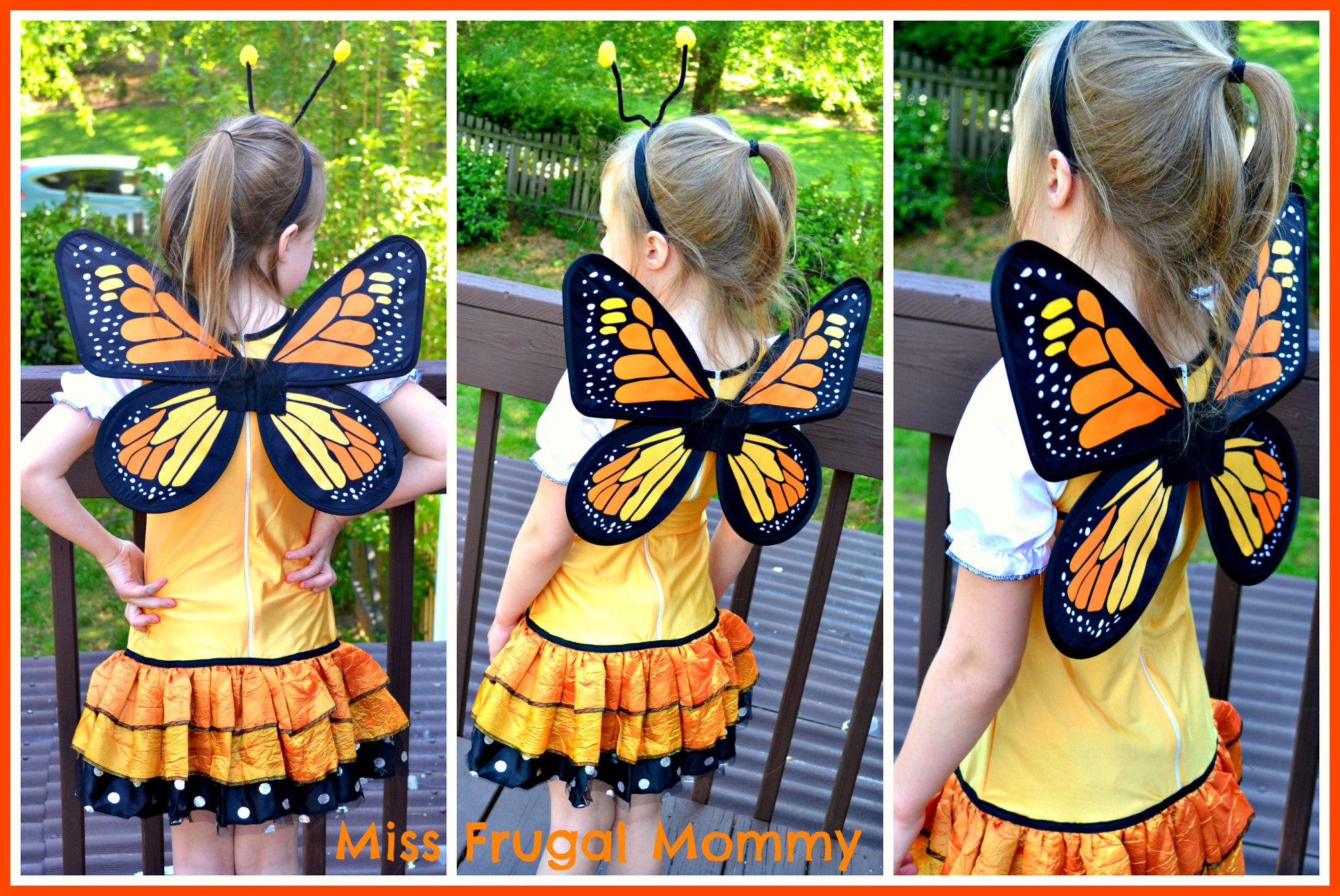 Costume Discounters: Butterfly Princess Costume Review