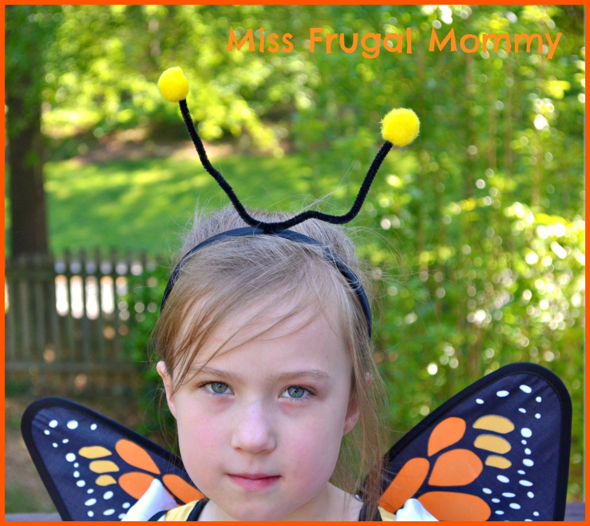 Costume Discounters: Butterfly Princess Costume Review