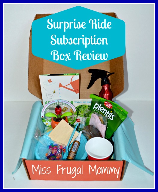 Surprise Ride: Subscription Box Review
