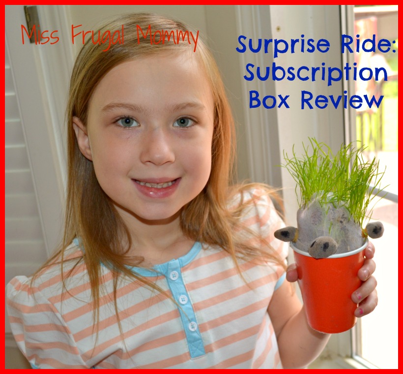 Surprise Ride: Subscription Box Review