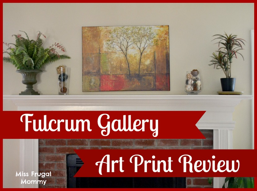 Fulcrum Gallery Art Print Review