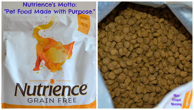 Keeping Our Pet Healthy With Nutrience Grain Free Cat Food #NutriencePets 