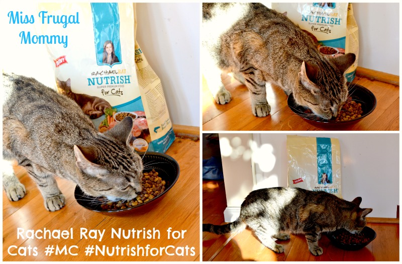 Rachael Ray Nutrish for Cats #MC #NutrishforCats