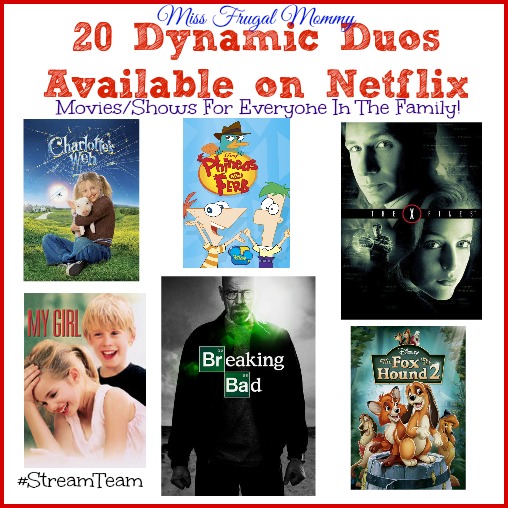 20 Dynamic Duos Available on Netflix #StreamTeam