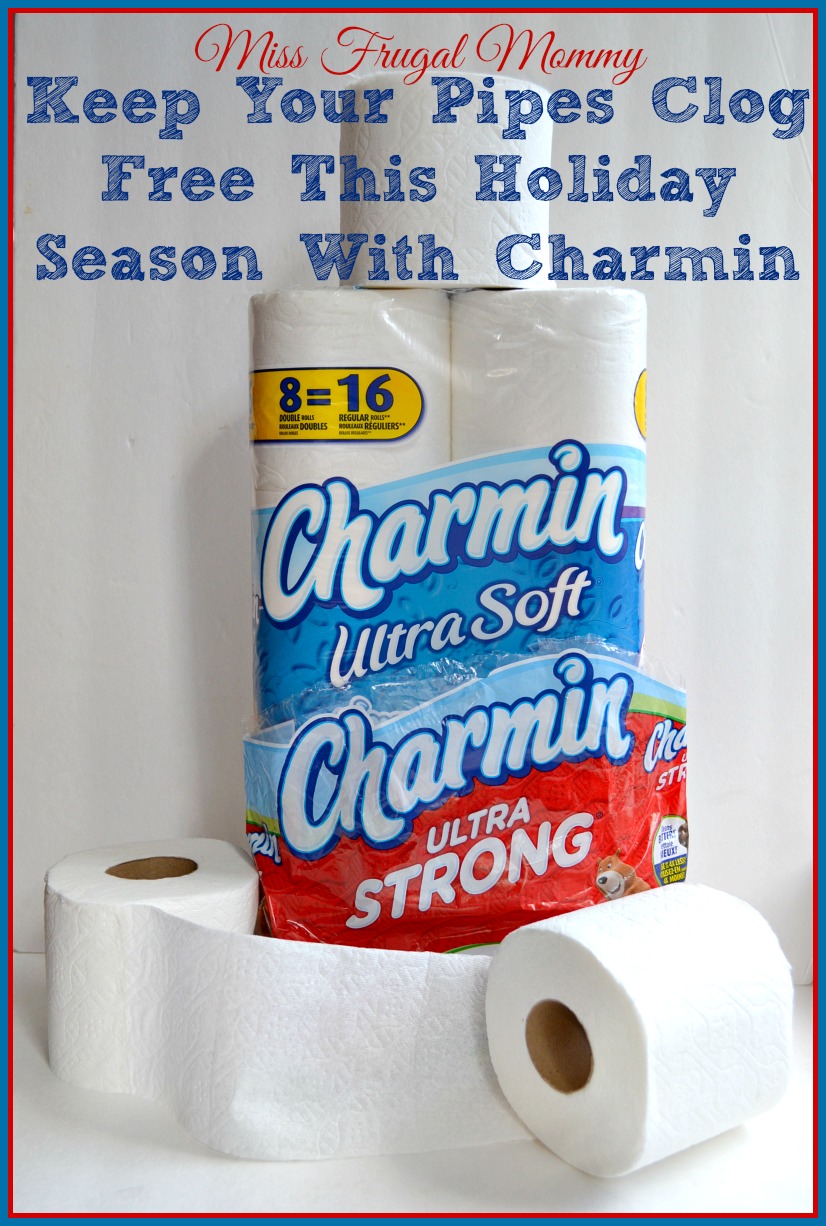 Keep Your Pipes Clog Free This Holiday Season With Charmin