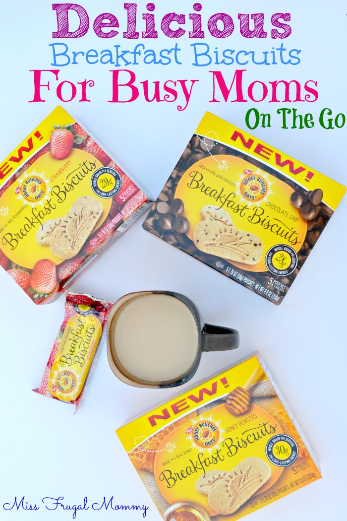Delicious Breakfast Biscuits For Busy Moms On The Go
