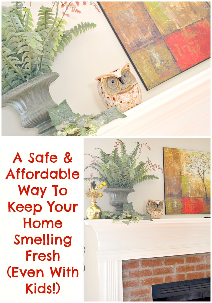 A Safe & Affordable Way To Keep Your Home Smelling Fresh (Even With Kids!)