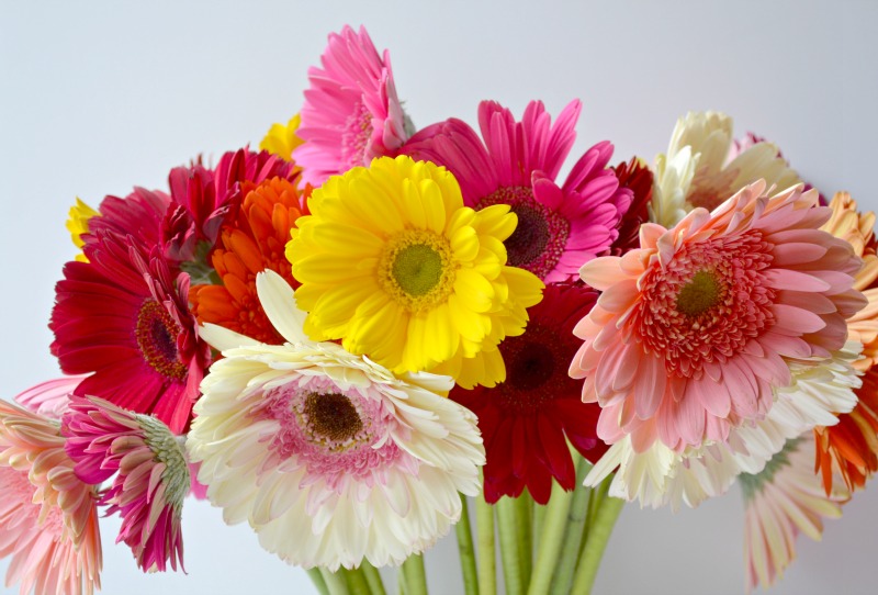 Fresh Blooms Delivered To Your Door