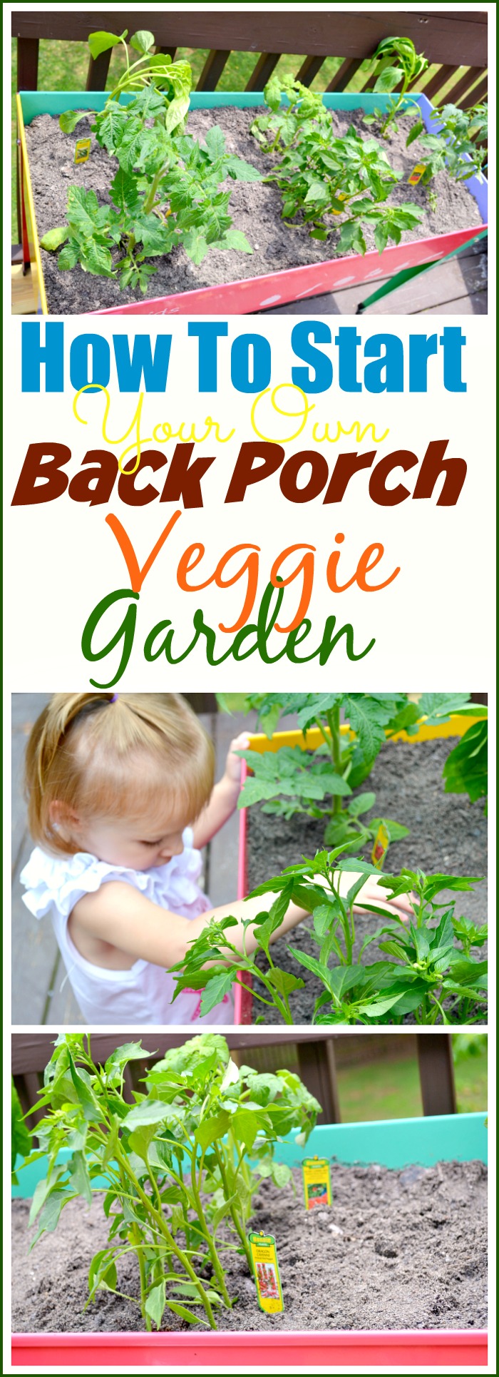 How To Start Your Own Back Porch Veggie Garden