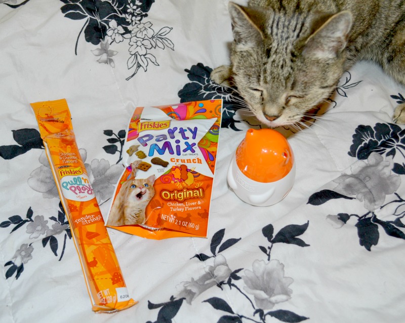 A Fun Way To Interact With Your Cat During Treat Time