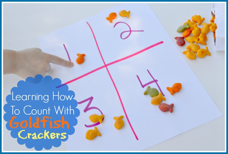 Learning How To Count With Goldfish Crackers