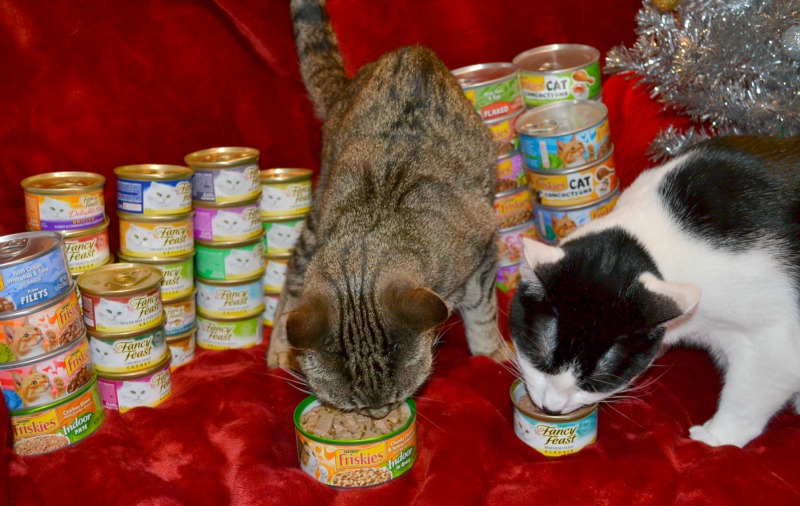 Stock Up and Save On Cat Food For The Holidays