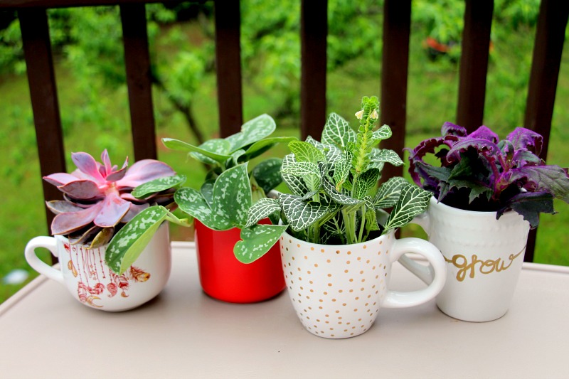 Upcycled Coffee Mug Planters