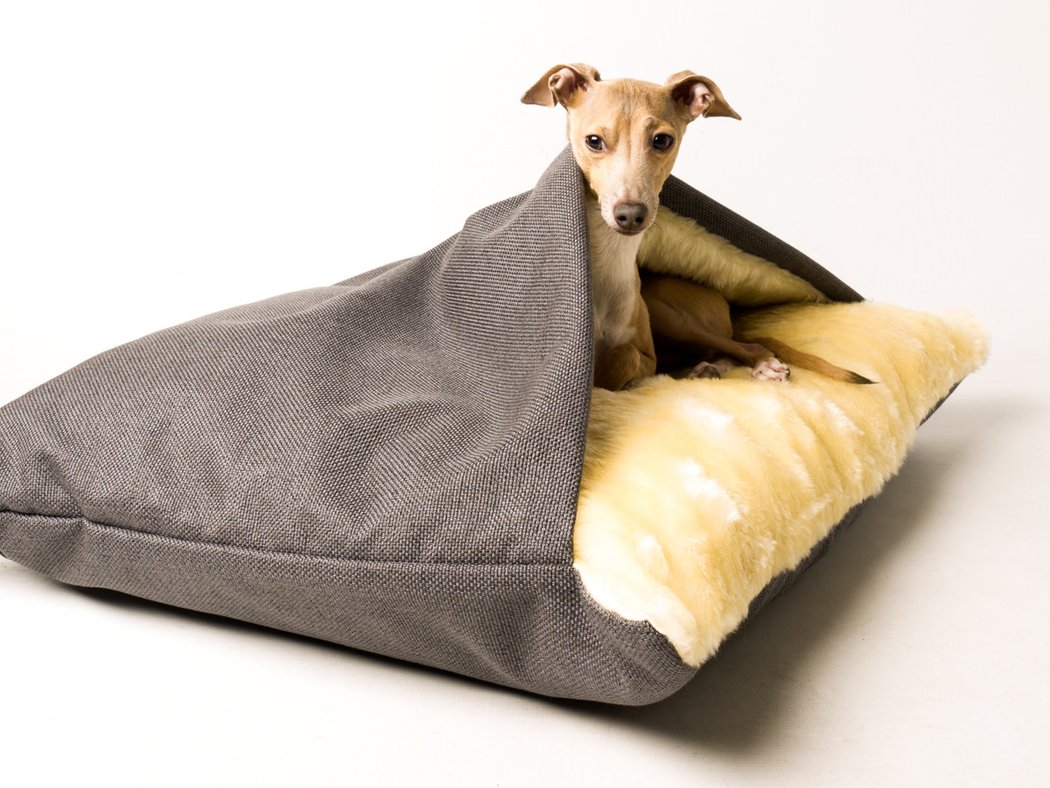 How to Choose the Perfect Bed for Your Dog