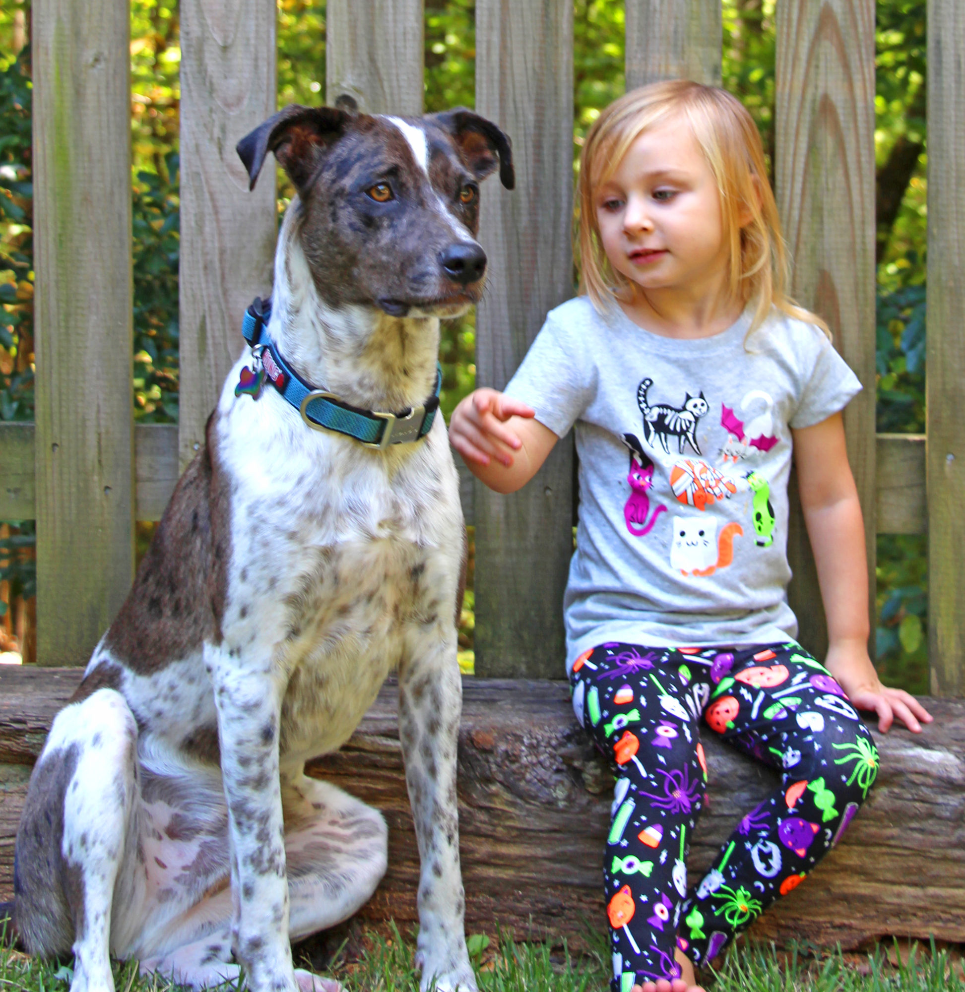 Tips For Taking Photos With Your Kid & Dog