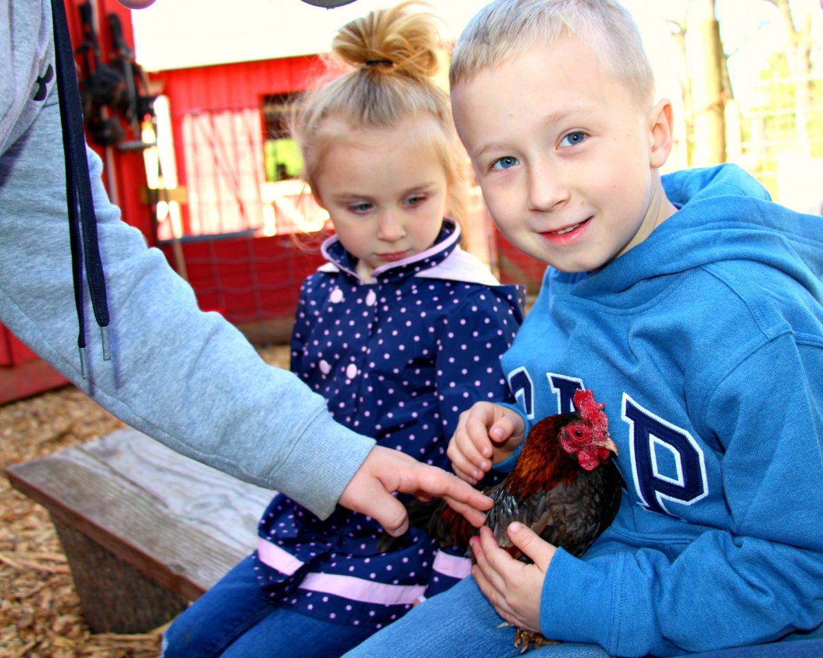 Our Visit to The Art Barn at Morning Glory Farm Miss Frugal Mommy