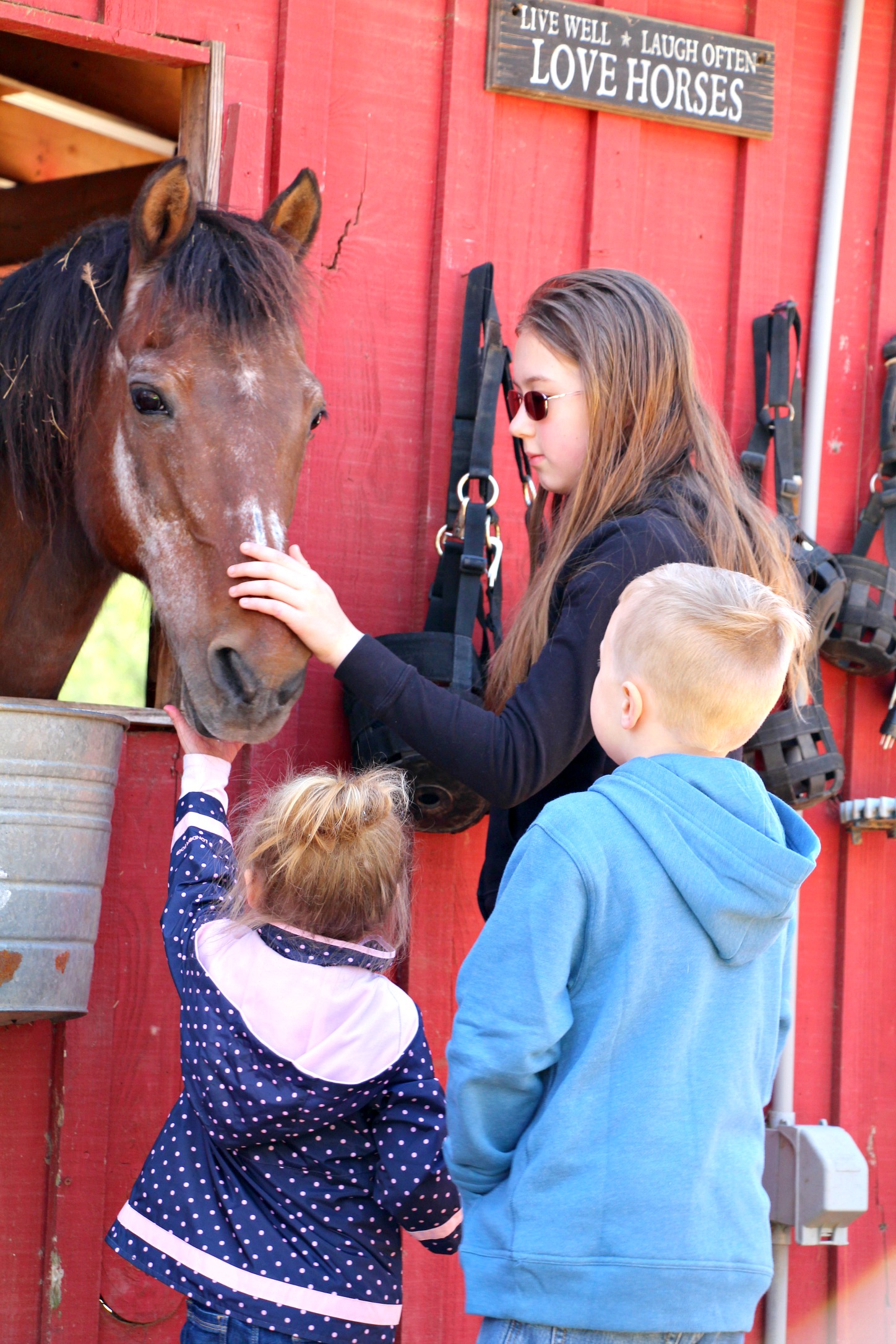 Our Visit to The Art Barn at Morning Glory Farm Miss Frugal Mommy