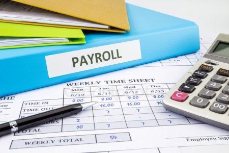 Is your Business Organization in need of Cloud-Based payroll solution?