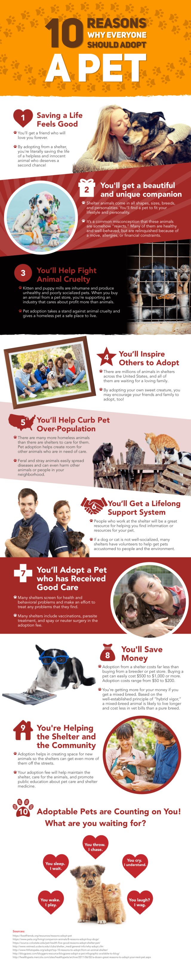 The 10 Reasons Why You Should Adopt and Not Shop Miss Frugal Mommy