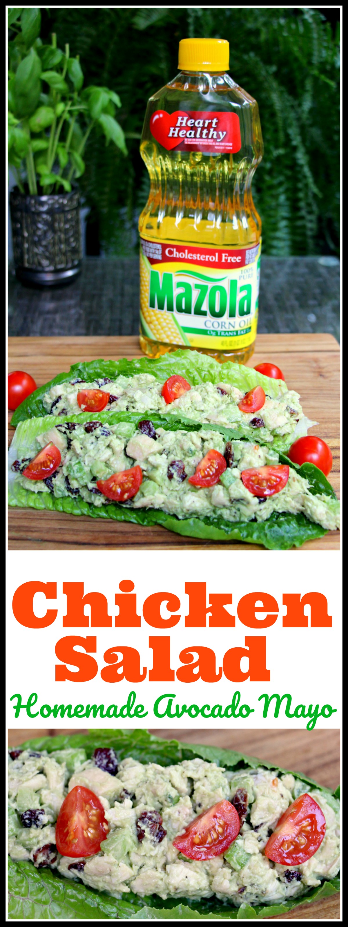 Chicken Salad With Homemade Avocado Mayo