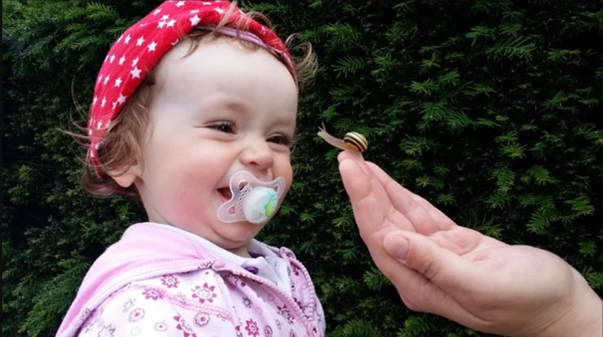 The Ultimate Guide to Choosing Pacifiers