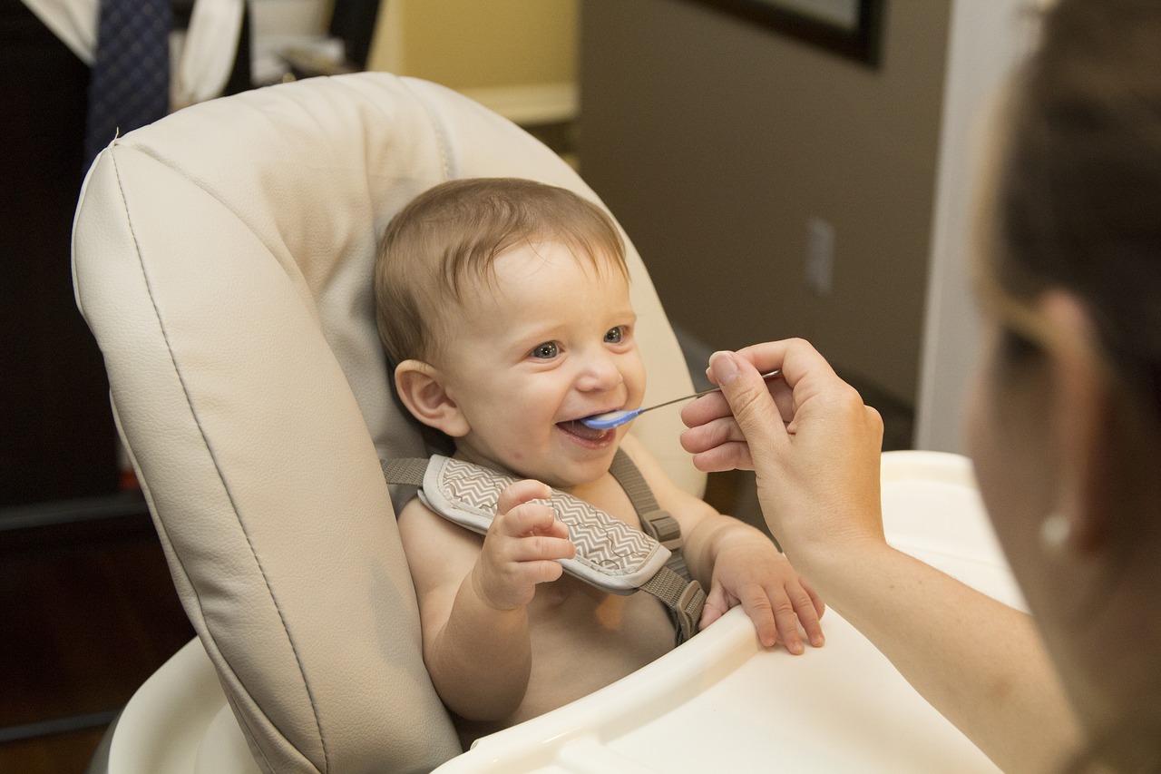 Top Baby Food Maker Buying Guides For Your Little One