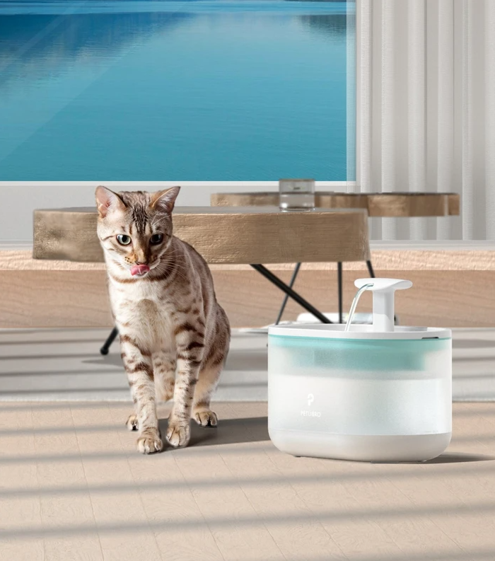 Get The Petlibro Capsule Fountain To Keep Pets Healthy And Hydrated