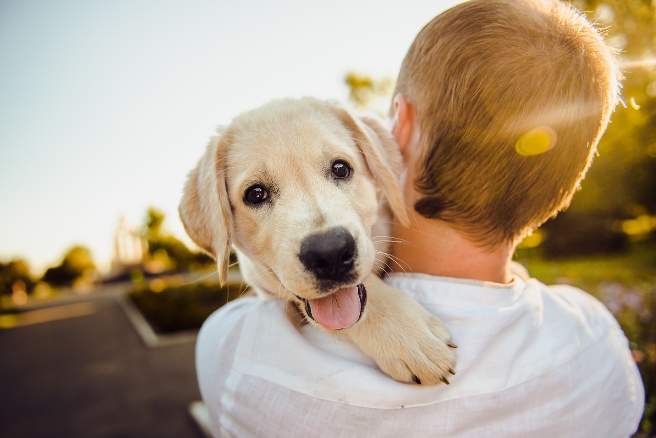3 Smart Tips When You’re Getting Your First Pet