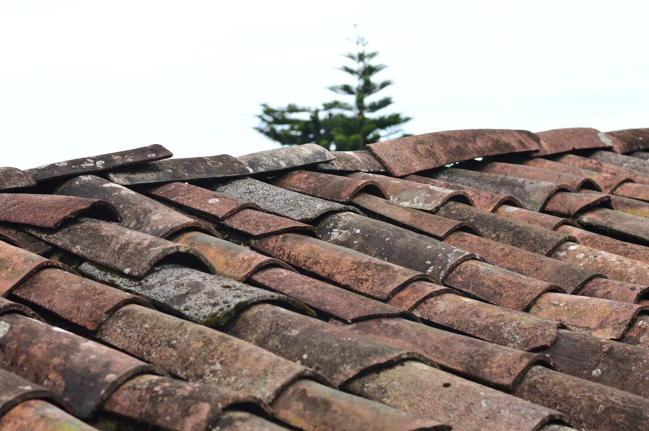 6 Reasons To Get Your Roof Inspected Regularly