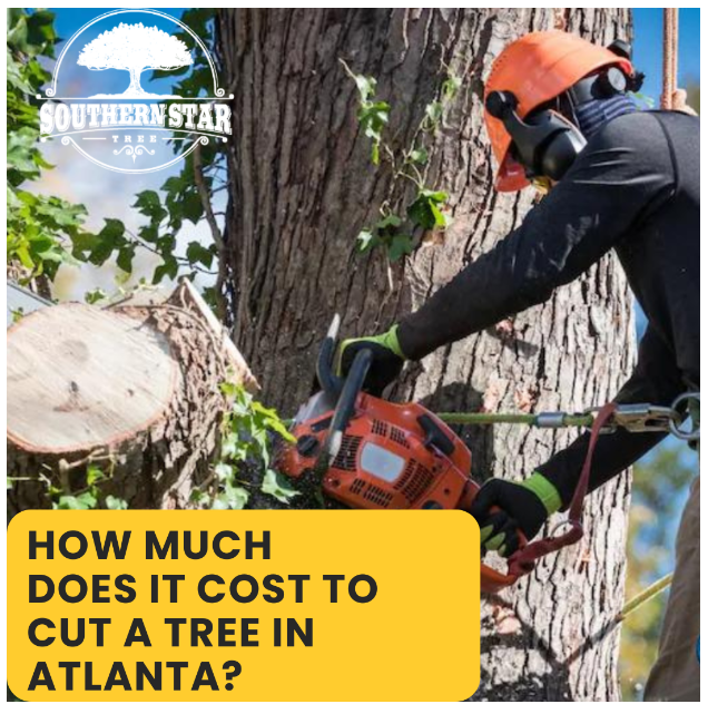 How Much Does It Cost To Cut A Tree In Atlanta?